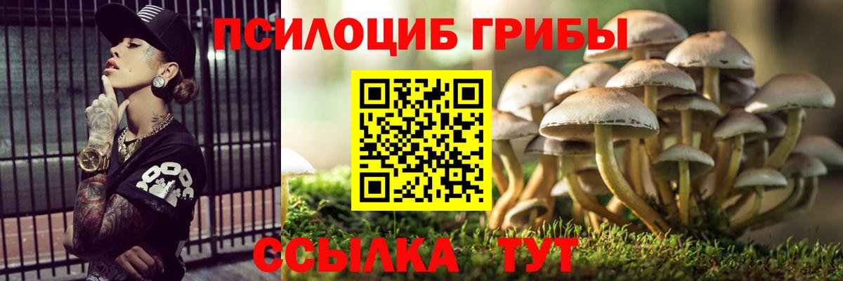 Галлюциногенные грибы GOLDEN TEACHER  Вход с VPN  Дзержинск  Псилоцибиновые грибы Psilocybine cubensis 